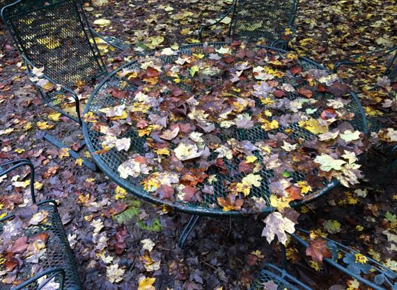 Table leaves