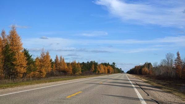 Tamaracks Seney stretch