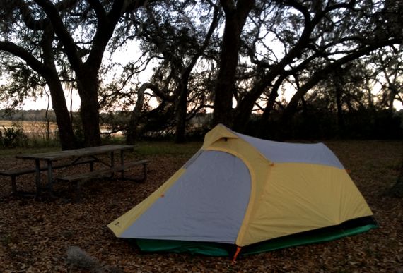 Tent under oaks Spn moss