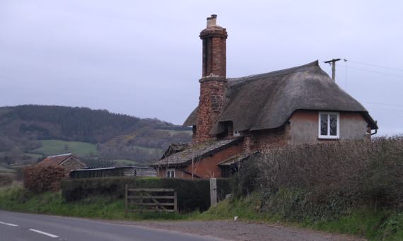 Thatched home