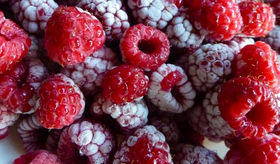 Thawing raspberries from last year