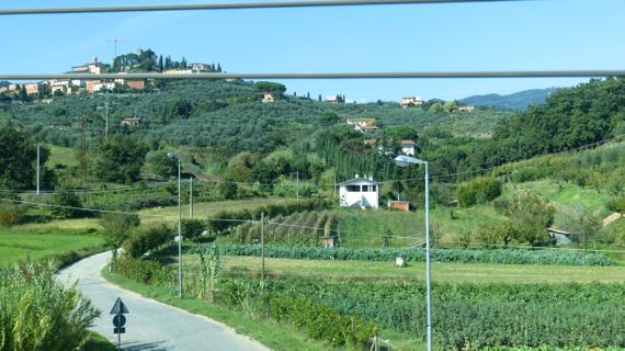 Valley view overhead wires