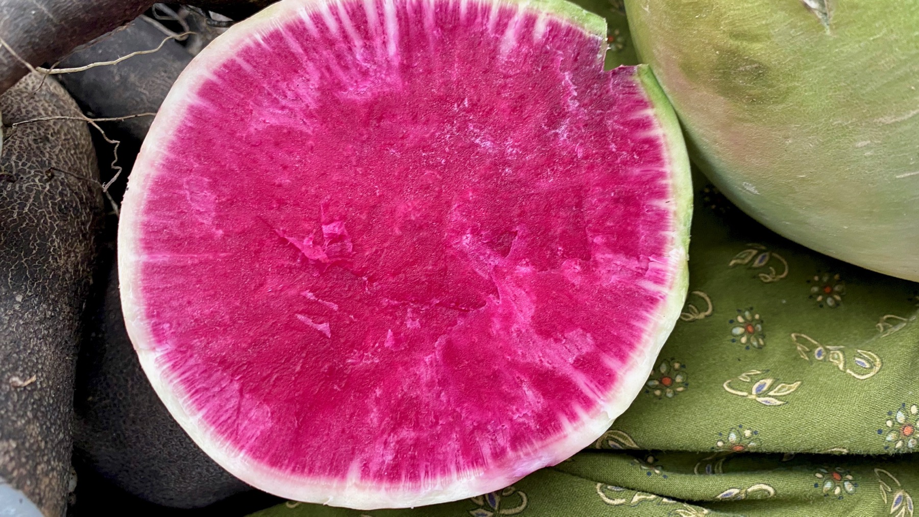 Watermelon raddish