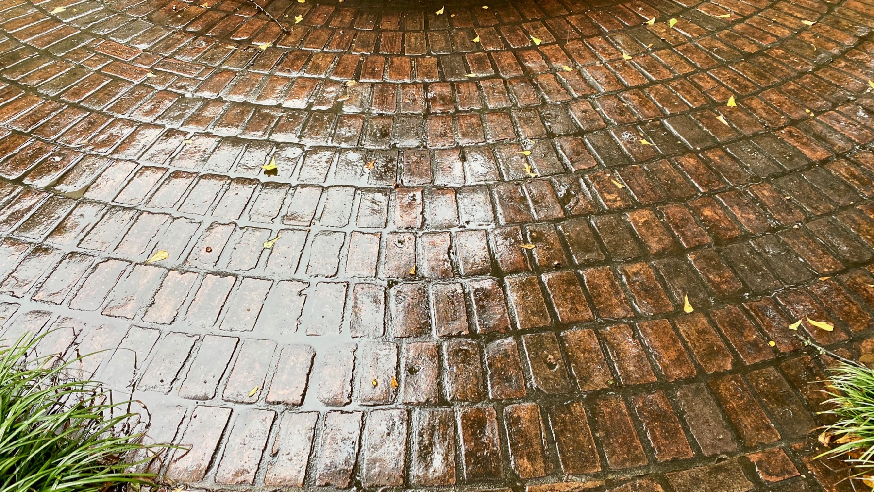 Wet brickwork