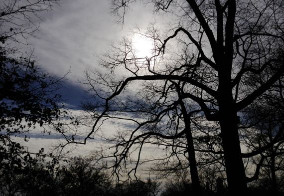 Winter sky oaks cloud layers