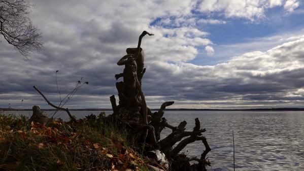 Wood art lake